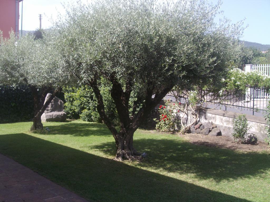 Villa Scatitti House Zafferana Etnea Zimmer foto